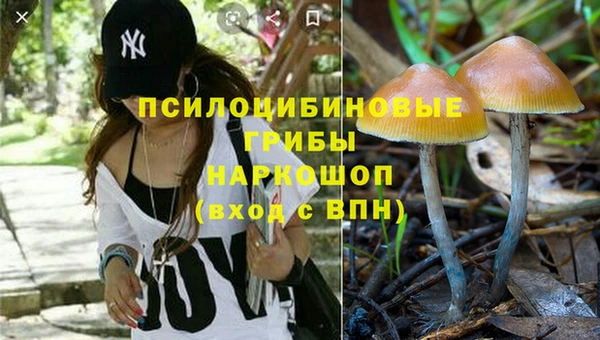 Альфа ПВП Сосновоборск