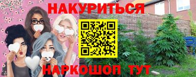 стаф Нальчик