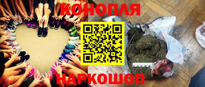 стаф Новодвинск