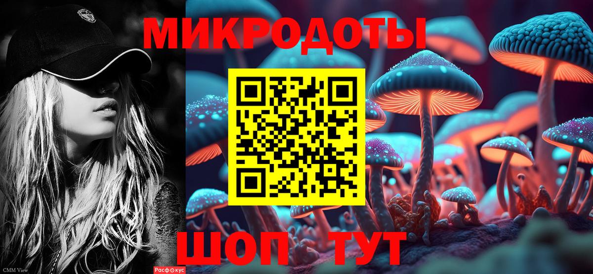 Чусовой  Псилоцибиновые грибы MAGIC MUSHROOMS  где найти   Вход с VPN  Галлюциногенные грибы Psilocybe 